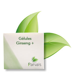 Gélules Ginseng +