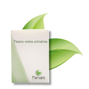 Tisane voies urinaires
