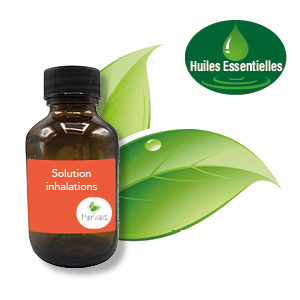 Solution pour inhalations