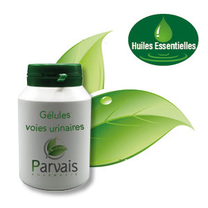 Gélules voies urinaires