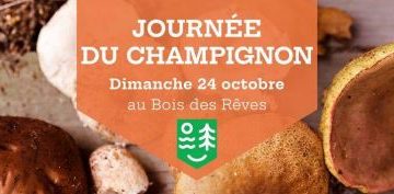 Journée du champignon